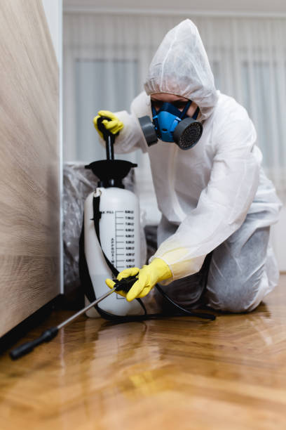 Best Commercial Pest Control  in Bemidji, MN